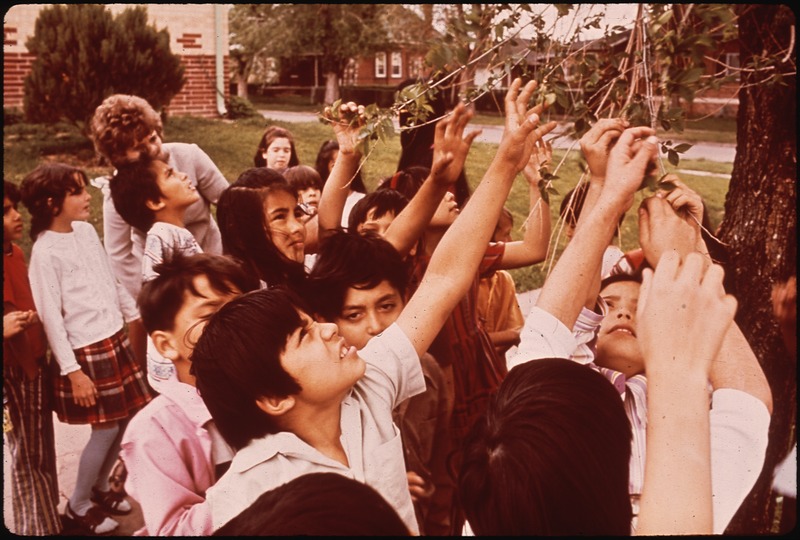 File:THIS ENVIRONMENTAL AWARENESS CLASS IS WALKING AROUND THE NEIGHBORHOOD LOOKING, LISTENING AND TOUCHING. THESE ARE 3RD... - NARA - 545311.tif