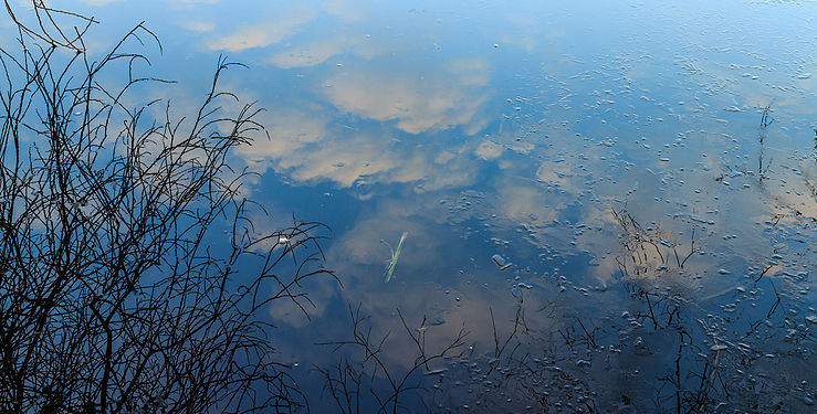 Branches and clouds are reflected at dawn in layer of ice on the Jonker Sloot. Location, Location, The Famberhorst (Netherlands).