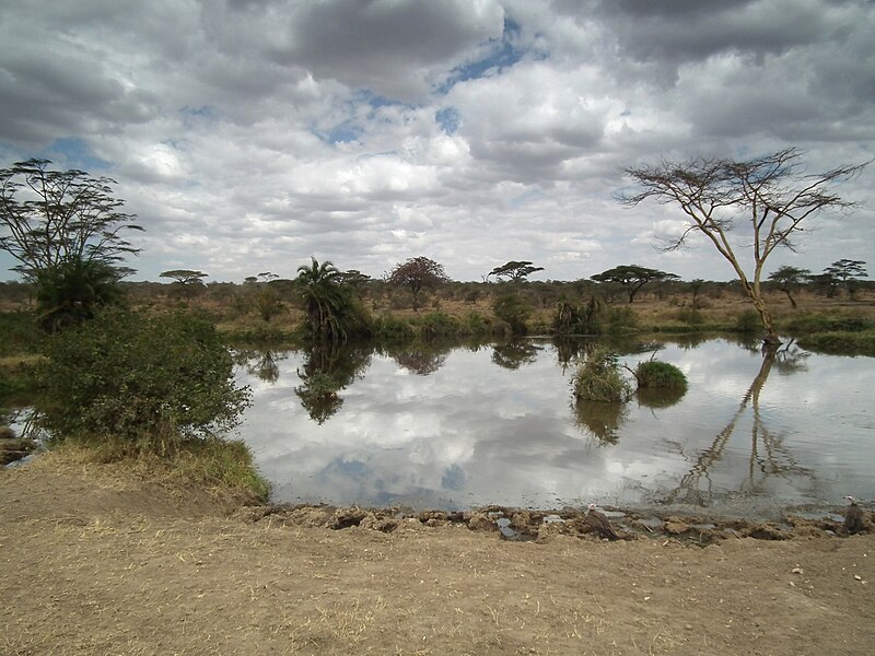 File:Tanzania 3093 Nevit.jpg