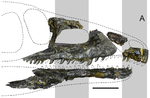 Miniatura para Tasmaniosaurus triassicus