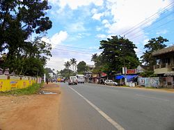 Jalan Raya nasional-66 di Thattamala