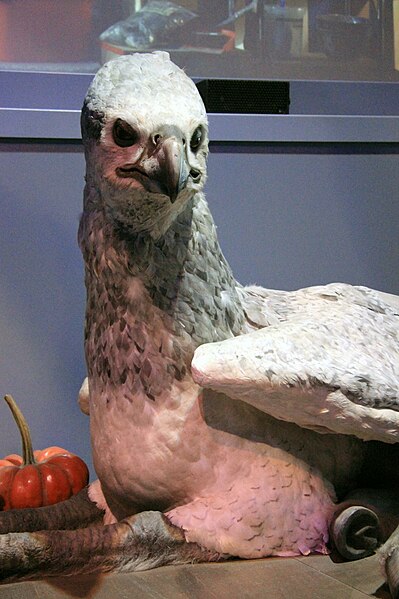 File:The Making of Harry Potter 29-05-2012 (Buckbeak's bust).jpg