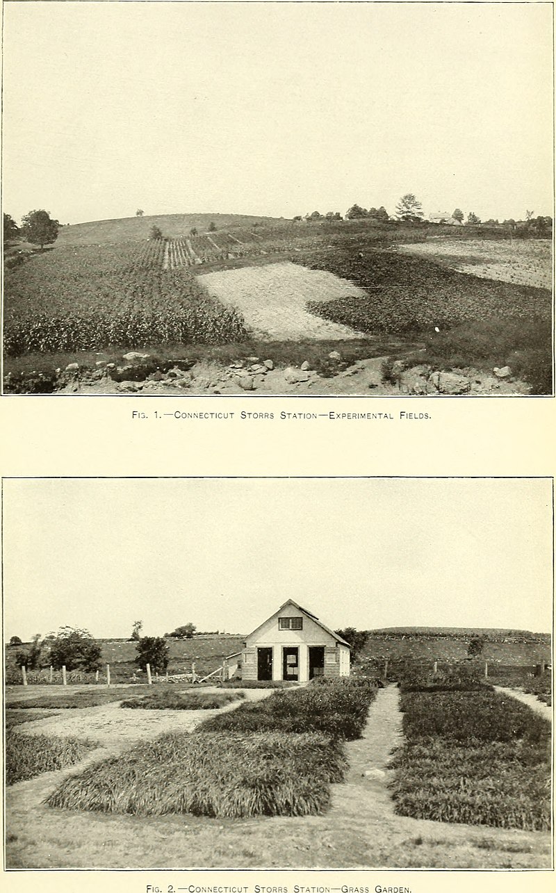 The agricultural experiment stations in the United States (1900) (14595517300).jpg