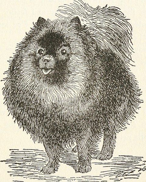 File:The dogs of Boytown (1918) (14775638933).jpg