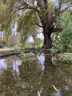 Tongva Sacred Springs 2023 March open house day 21.jpg