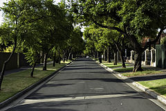 Toorak Gardens Street