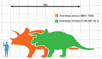 Dinosaur Sizes Comparison Chart