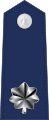 U.S. Space Force rank insignia of a lieutenant colonel.