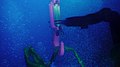Underwater ROV Manipulator Arm.jpg