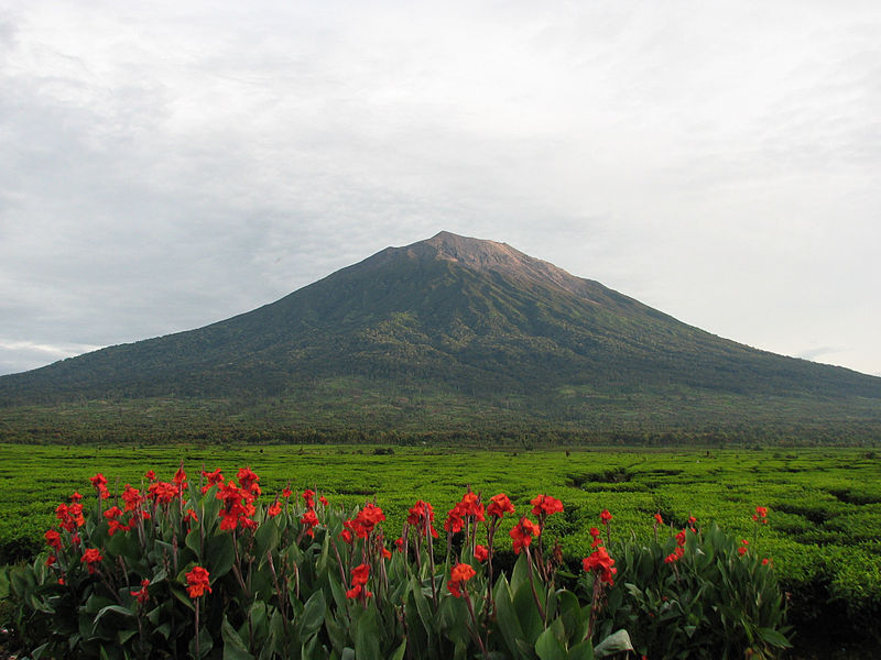 File:Uprising-mount kerinci.jpg