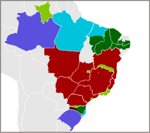 Portuguese Language