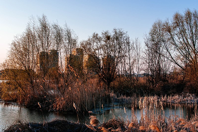 File:Văcărești - panoramio.jpg