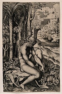 Venuše zraněná trnem růže (Marco Dente, 1516)