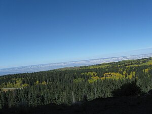 Grand Mesa things to do in Grand Mesa National Forest