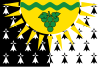 Vignoble Nantais traditional district flag.svg