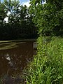 Čeština: Rybník Horní Tušiny, který se nachází nedaleko od Voznice a Dobříše nápověda English: Horní Tušiny pond near Voznice in Central Bohemian region, CZ help