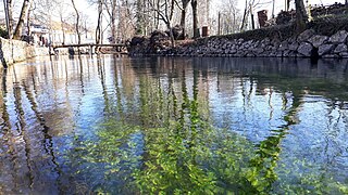 <span class="mw-page-title-main">Vrljika (river)</span> River in Croatia, Bosnia and Herzegovina