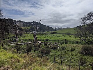 <span class="mw-page-title-main">Waipatukahu</span> Locality in New Zealand