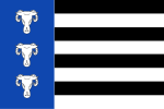 Waskemeer vlag.svg