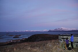 Walforscher bei der Arbeit – Krøttøy