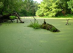 Program Natura 2000 Wikipedia