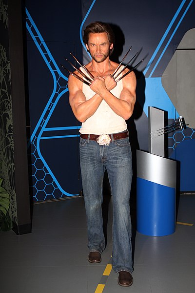Wax figure of Hugh Jackman as Logan at Madame Tussauds. Performing the role in nine installments of the X-Men film series earned Jackman the Guinness 