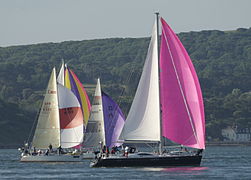 Yachten unter Spinnaker während des Round the Island Race, 2010