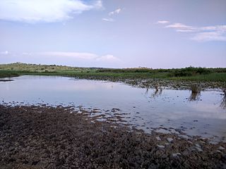 Yala Swamp Physical feature in Kenya