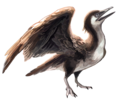 Yanornis martini