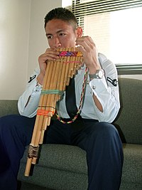 The panflute is among the most emblematic instruments of Andean music. Zampona.jpg