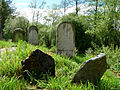 Čeština: Židovský hřbitov v obci Hořepník, okres Pelhřimov, kraj Vysočina. English: Jewish cemetery in the town of Hořepník, Pelhřimov District, Vysočina Region, Czech Republic.