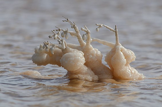 Salt formation at Lake Baskunchak, Astrakhan Oblast, by 4jalien
