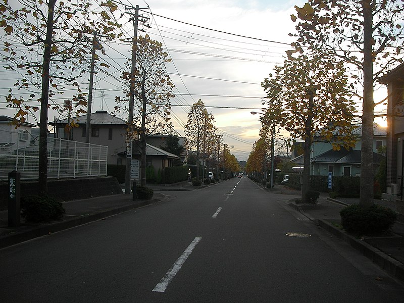 File:日吉台中学校 通学路 - panoramio.jpg