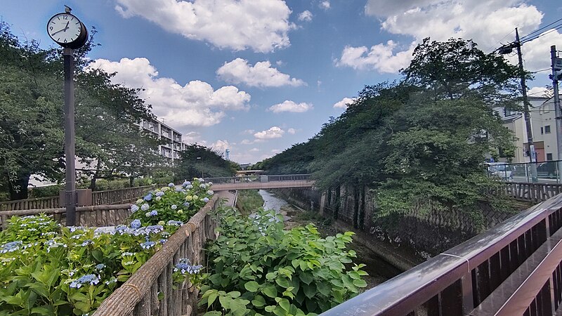 File:石神井川 山下橋（南田中団地）から下流（練馬高野台駅）方面.jpg