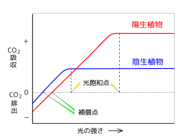 高等学校生物 生物ib 生態系 Wikibooks