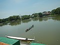 007Pampanga River from Apalit-Arayat Setback Levee 04.jpg