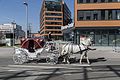 Stadt Wien Wiener Wohnen