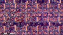 For comparison, a similar section of the same microcontroller die by an optical microscope. 1886VE10-optical.jpg