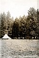1923. Camp 28. Calico Springs, Area 2. Southern Oregon Northern California beetle control project. (33478572901).jpg