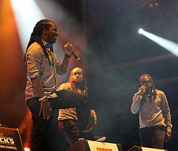 2013-08-23 Chiemsee Reggae Summer - TOK et al.  4176.JPG