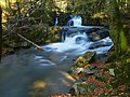 2013-10-28 11-39-55 savoureuse-lepuix.jpg