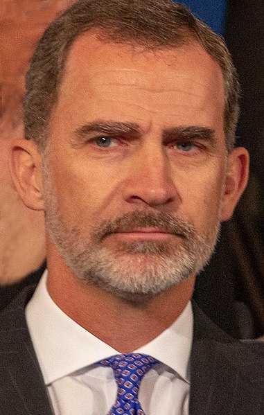 File:2019-05-30 Felipe VI of Spain-5976 (cropped).jpg