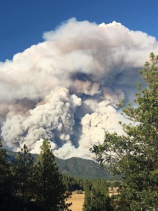 <span class="mw-page-title-main">Walker Fire (2019)</span> 2019 wildfire in California