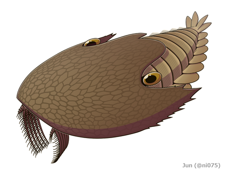 Cambroraster falcatus was a large arthropod for the era