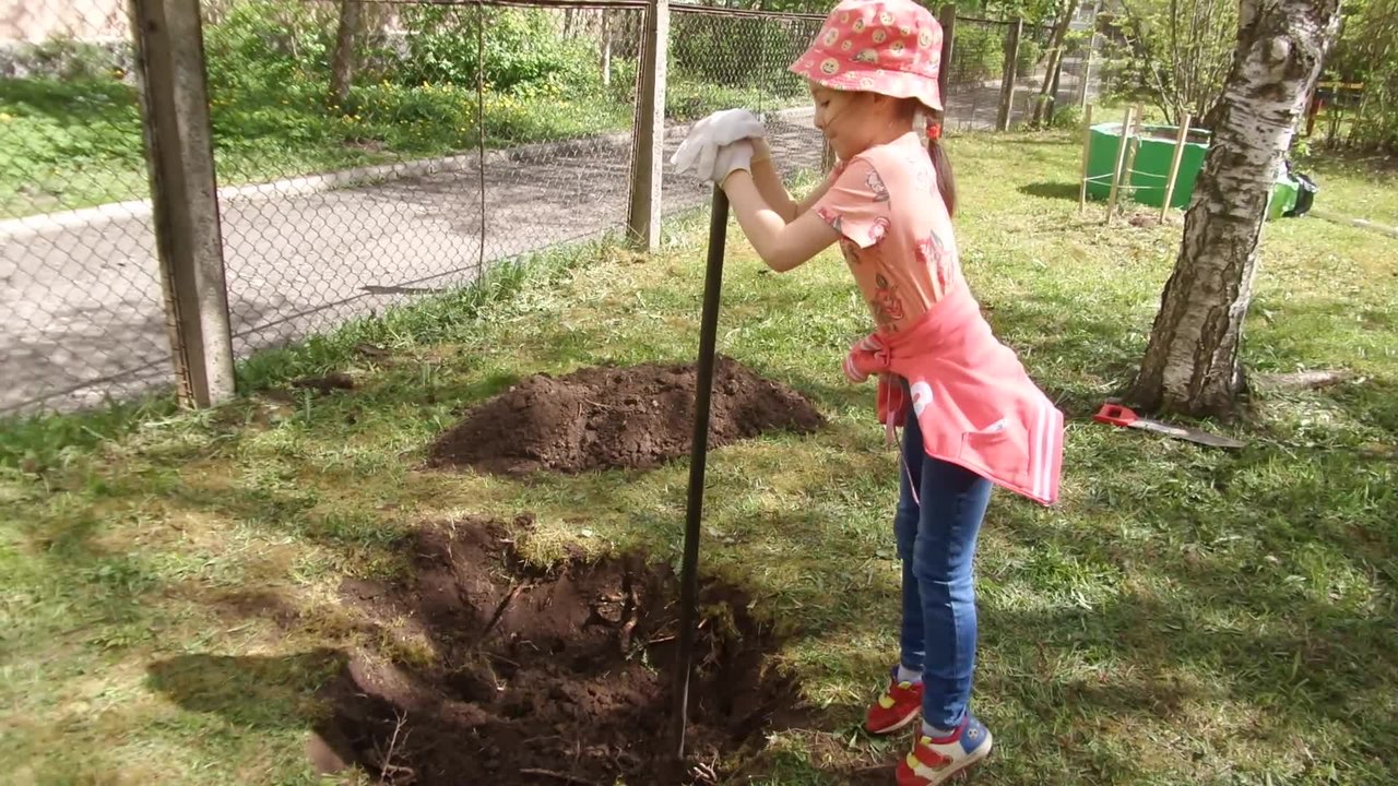 File:20200530 141604 Girl and dad digging a hole with a crowbar Ptz.webm -  Wikipedia
