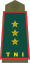 21-TNI Army-LG.svg