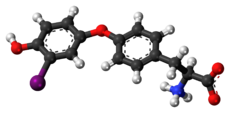 Pilk-kaj-bastona modelo de la 3'-monoiodothyronine molekulo kiel Ambaŭ-jono