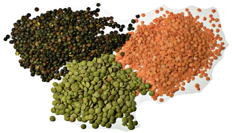 File:3 types of lentil.png