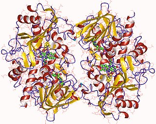 <span class="mw-page-title-main">Choline oxidase</span>