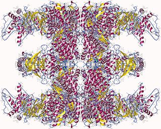 <span class="mw-page-title-main">Thermosome</span>